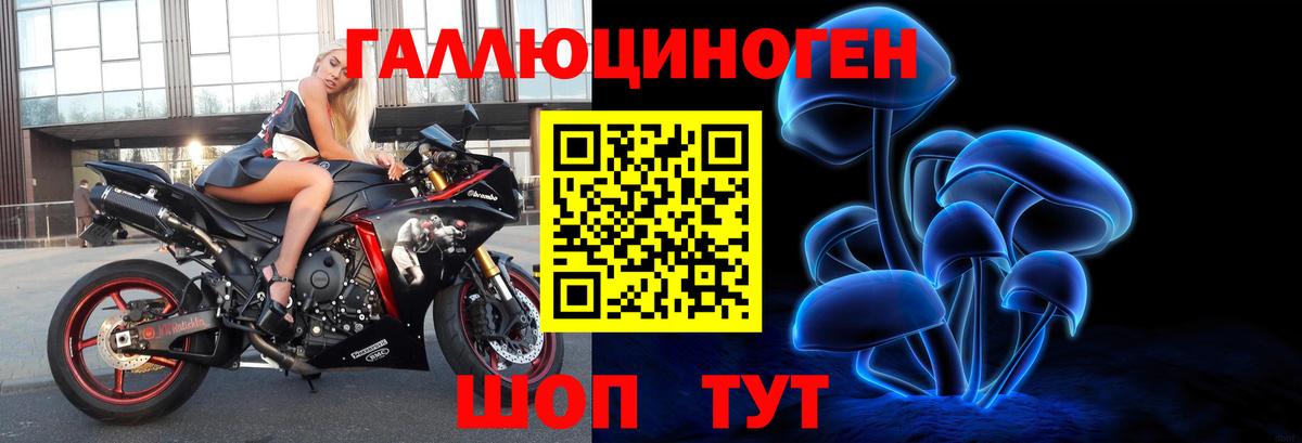 Энгельс  Галлюциногенные грибы прущие грибы  Вход с VPN  где купить наркотик  Псилоцибиновые грибы Magic Shrooms 